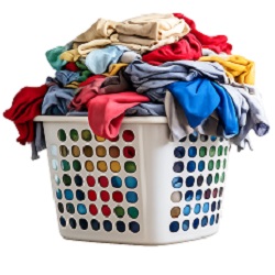 Cloth Wash Only (Package)